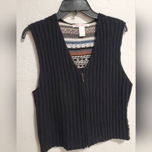 The Limited Multicolor Vest Knit Sweater